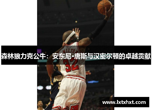 森林狼力克公牛：安东尼·唐斯与汉密尔顿的卓越贡献